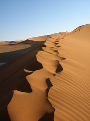 dune_desert